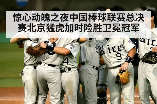 惊心动魄之夜中国棒球联赛总决赛北京猛虎加时险胜卫冕冠军