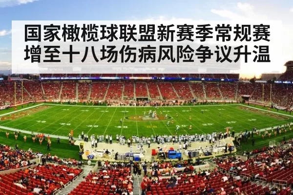 NFL stadium crowd