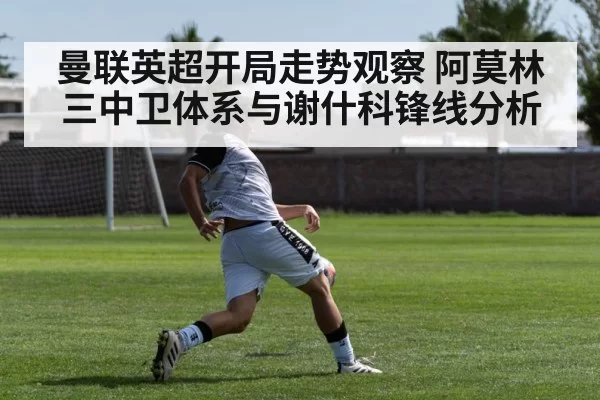 soccer striker shooting goal